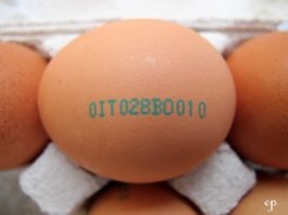 Come leggere l'etichetta delle uova e acquistare le migliori