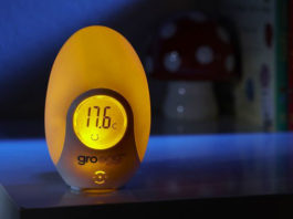 Gro Egg - Termometro digitale a forma d'uovo che indica la temperatura con luci colorate. Adatto per bambini. | TuttoSulleGalline.it