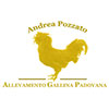 Logo Gallina Padovana di Andrea Pozzato - Allevamento Amatoriale
