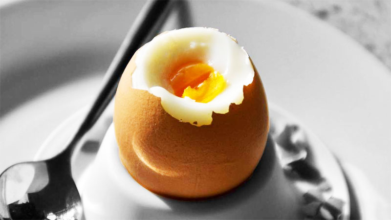 Uovo alla Coque: tempo di cottura e come gustarlo (sia dolce che salato) -  Galline, Pollaio, Ricette con Uova e Video divertenti