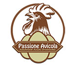 Passione Avicola - Allevamento galline ornamentali e ovaiole