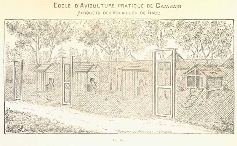 Immagine estratta dal Paragrafo 1 dell'opera del 1894 di Louis Bréchemin: Allevamento moderno degli animali da cortile - GALLINE E POLLAI