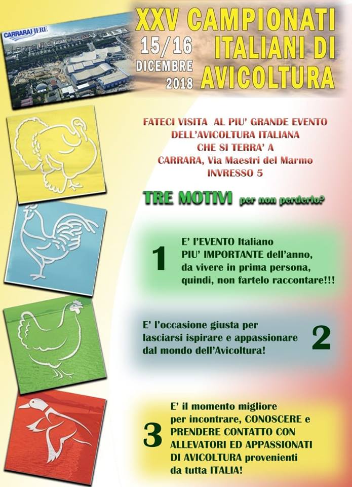 25° Campionati Italiani di Avicoltura, ecco perché partecipare