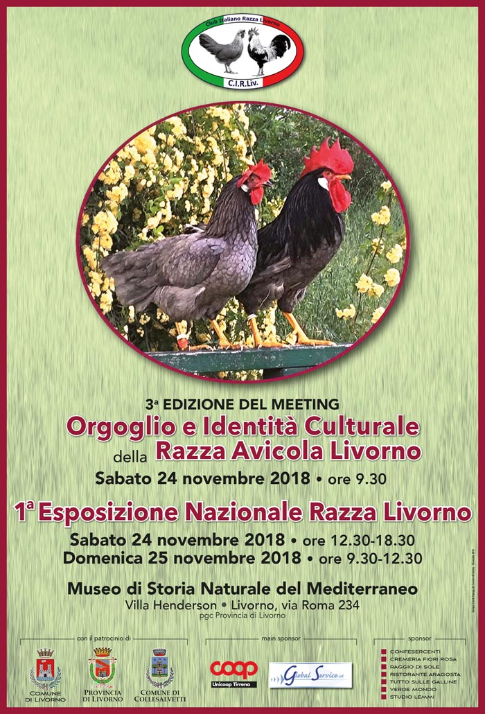 III° Convegno della Razza Avicola Livorno (24-25 Novembre 2018)