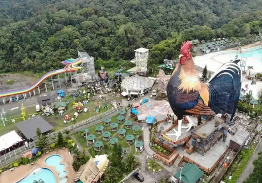 L'edificio a forma di gallo nelle Filippine visto dall'alto