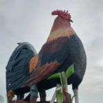 Il gallo più grande del mondo alle Filippine dove ci si può dormire dentro