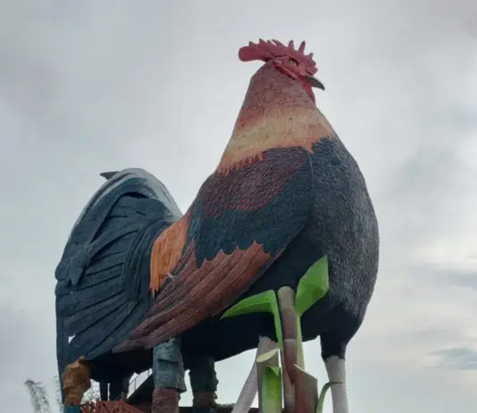 Il gallo più grande del mondo alle Filippine dove ci si può dormire dentro