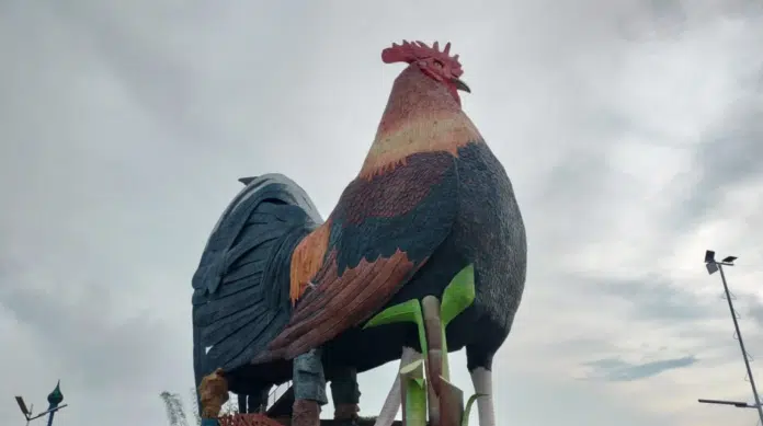 Il gallo più grande del mondo alle Filippine dove ci si può dormire dentro